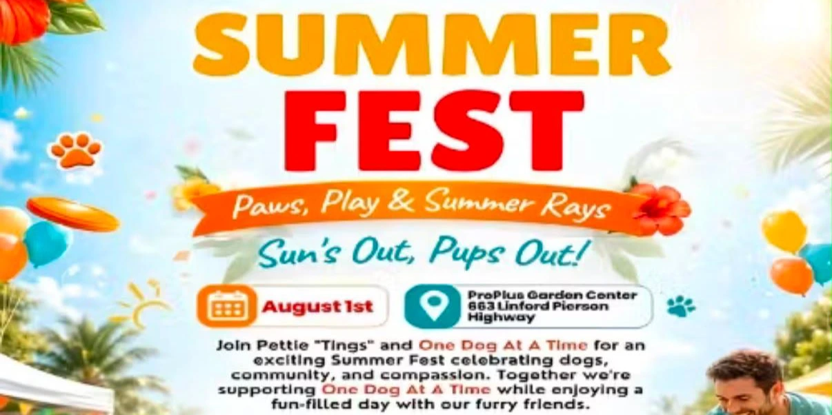 Summer Fest: Paws, Play, & Summer Rays