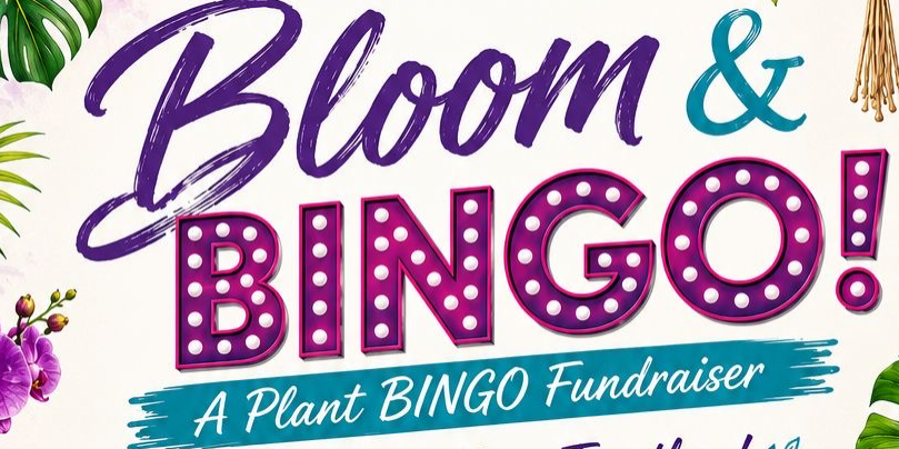 Bloom & BINGO